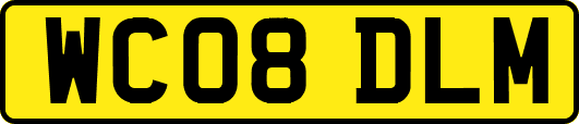 WC08DLM