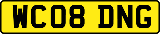 WC08DNG