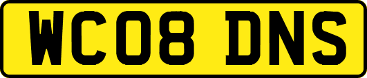 WC08DNS