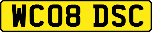 WC08DSC
