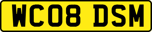 WC08DSM
