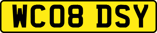 WC08DSY