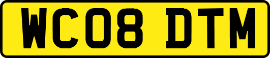WC08DTM