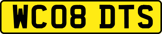 WC08DTS