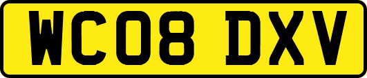 WC08DXV