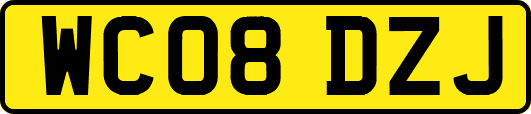 WC08DZJ