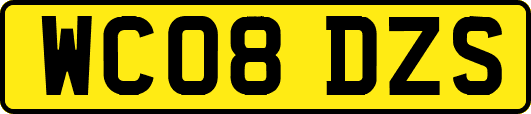 WC08DZS
