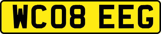 WC08EEG