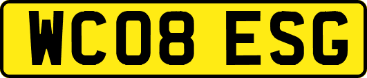 WC08ESG