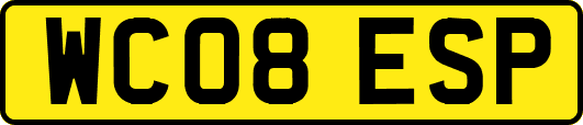 WC08ESP