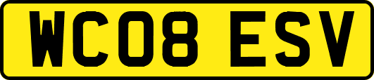 WC08ESV