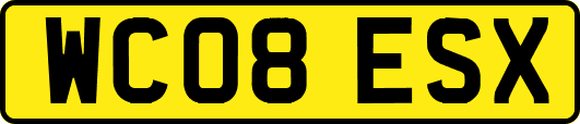 WC08ESX