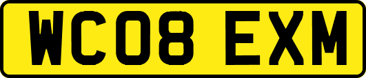 WC08EXM