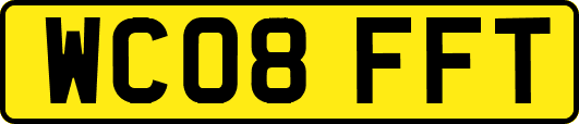 WC08FFT