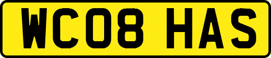 WC08HAS