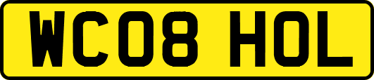 WC08HOL