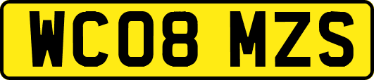 WC08MZS