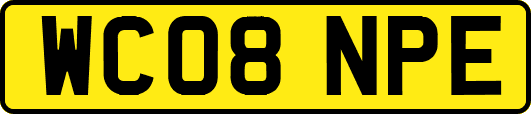 WC08NPE