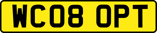 WC08OPT