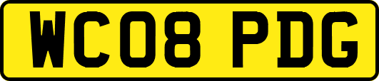 WC08PDG