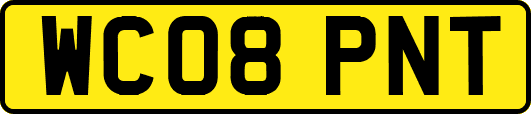 WC08PNT