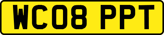 WC08PPT