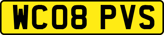 WC08PVS