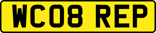 WC08REP