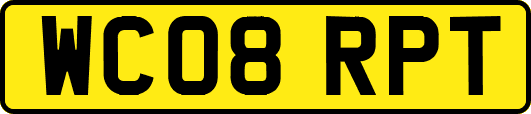 WC08RPT