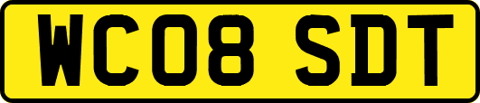 WC08SDT