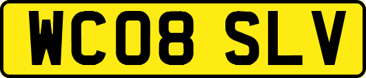 WC08SLV