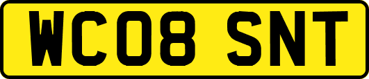 WC08SNT