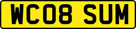 WC08SUM