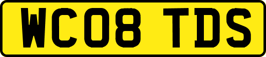 WC08TDS