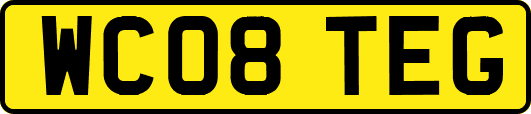 WC08TEG