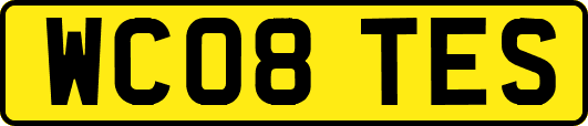 WC08TES