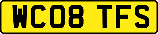 WC08TFS