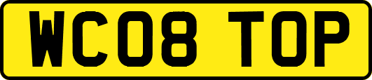 WC08TOP