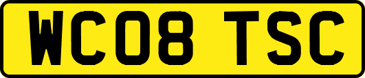 WC08TSC
