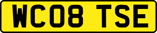 WC08TSE