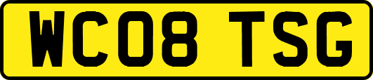 WC08TSG
