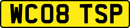 WC08TSP