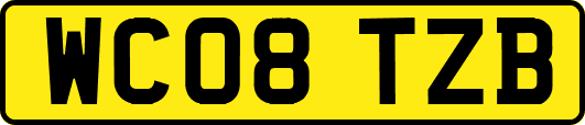 WC08TZB