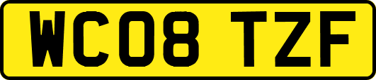 WC08TZF