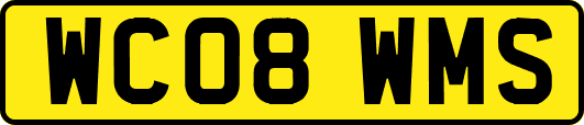 WC08WMS