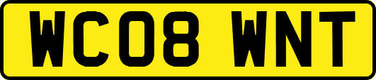 WC08WNT