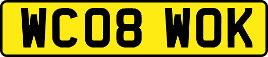 WC08WOK