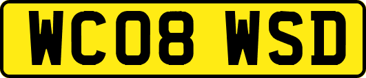 WC08WSD