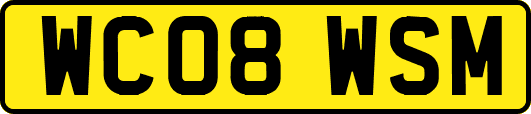 WC08WSM
