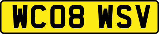 WC08WSV